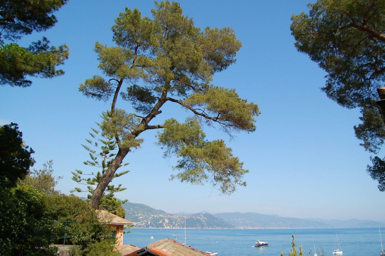 Portofino Seaview Apartment, 50 Meters From The Beach, Free Parking, Air Conditioning Paraggi Exterior photo